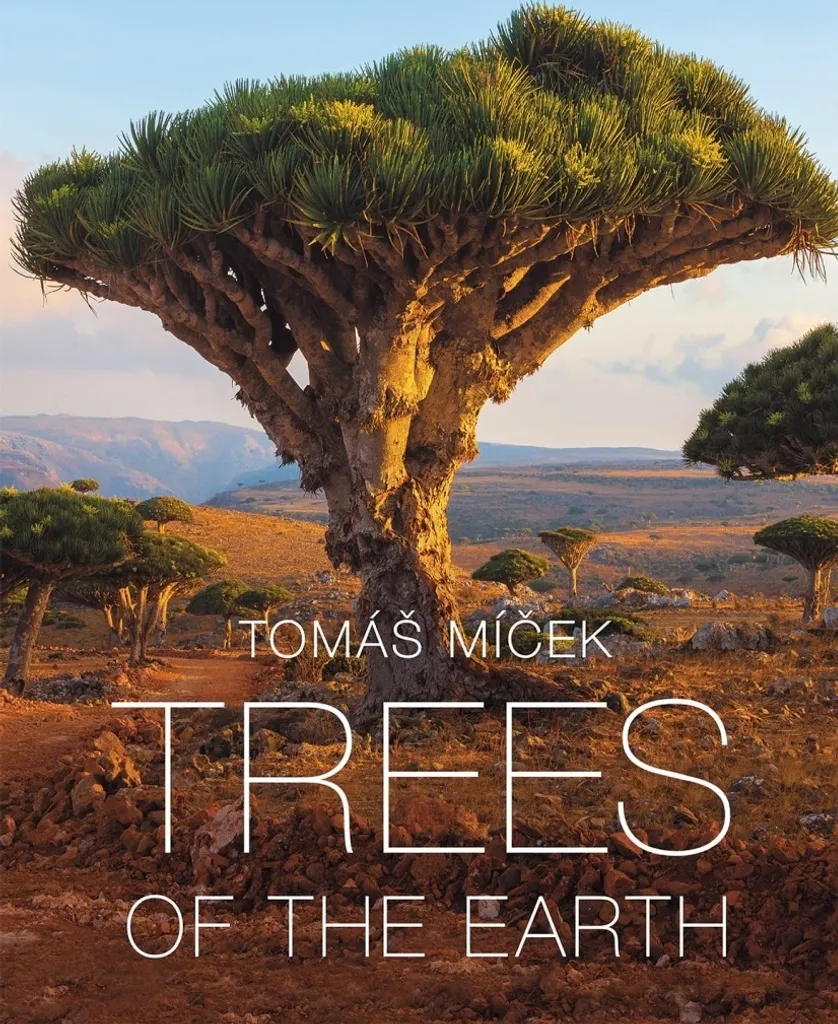 Décorez votre Salon avec le Livre Trees of the Earth de Míček Tomáš d'Art