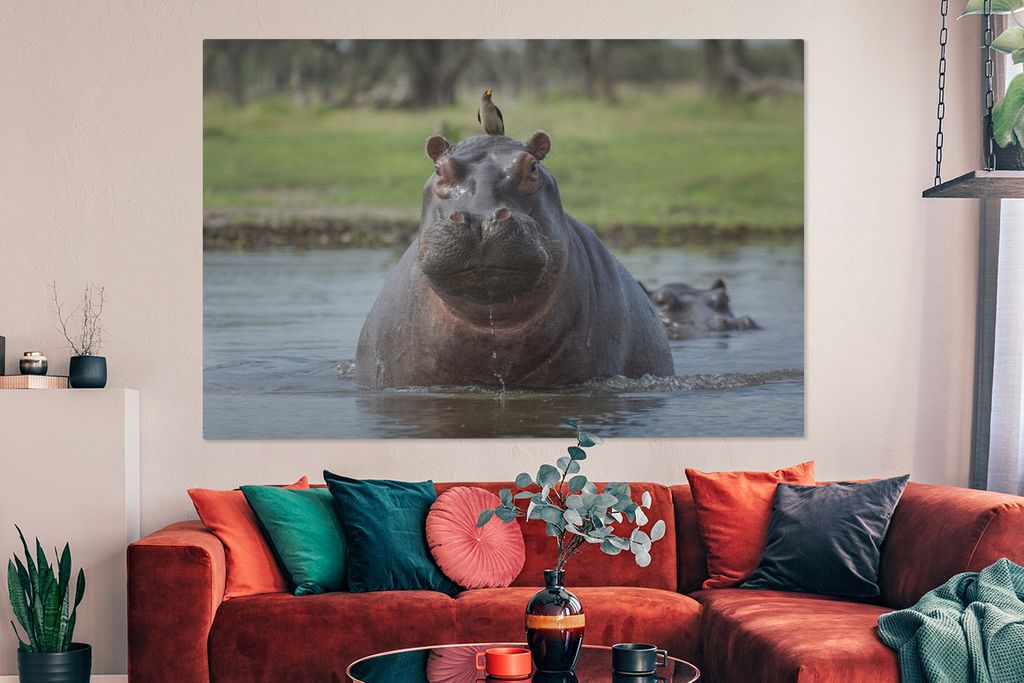OneMillionCanvasses - Leinwandbilder - 150x100 cm, Nilpferd - Vogel - Wasser, Wandbilder Kunstdruck Wanddekoration
