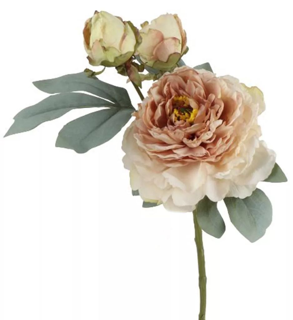 Pfingstrose mit 1 Blüte 2 Knospen L62cm Kunstblumen künstliche Päonie creme/rosa