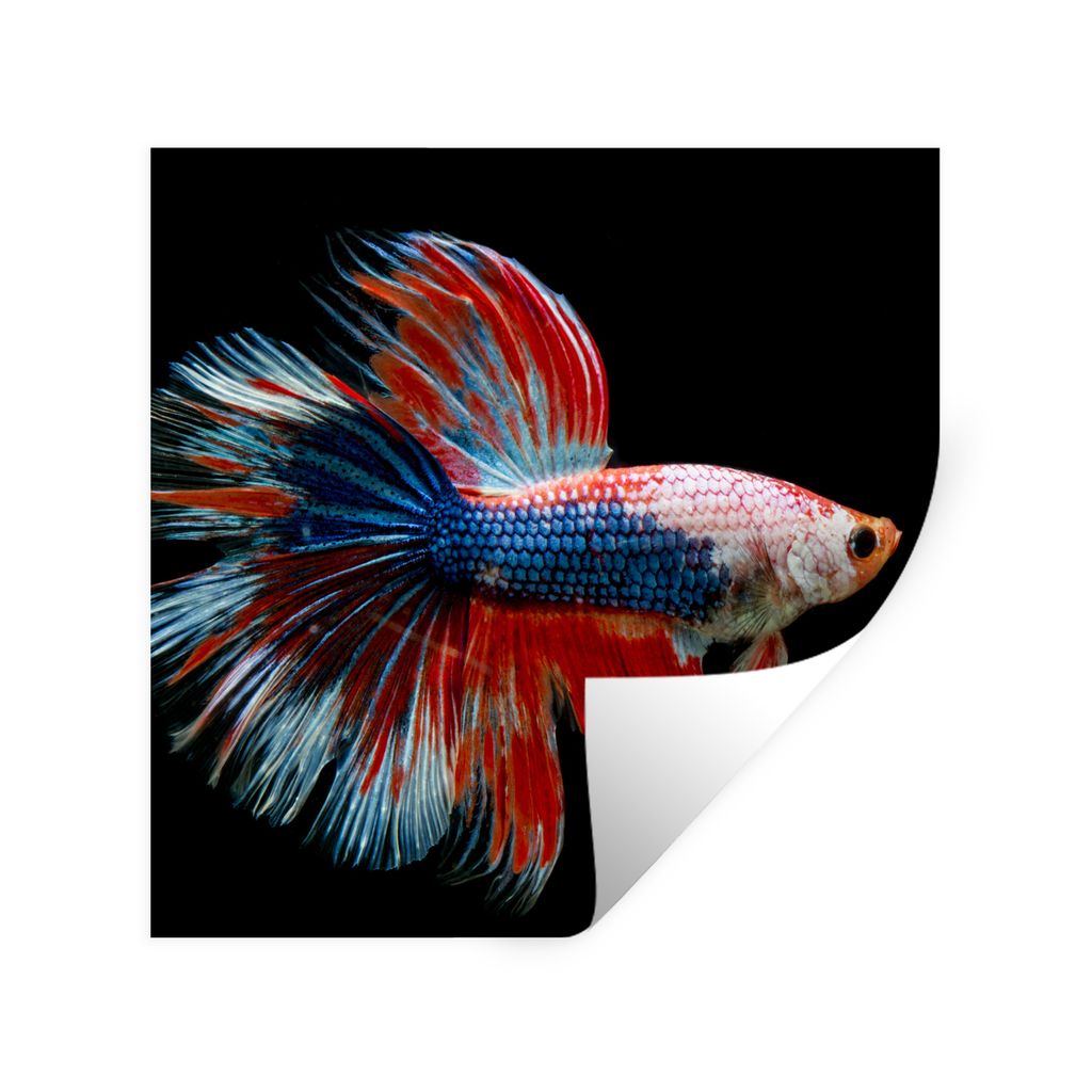 MuchoWow Wandtattoo Wandsticker Wandaufkleber Fisch - Meerestier - Schwanz - Blau 30x30 cm Selbstklebend und Repositionierbar - Repositionierbar ...