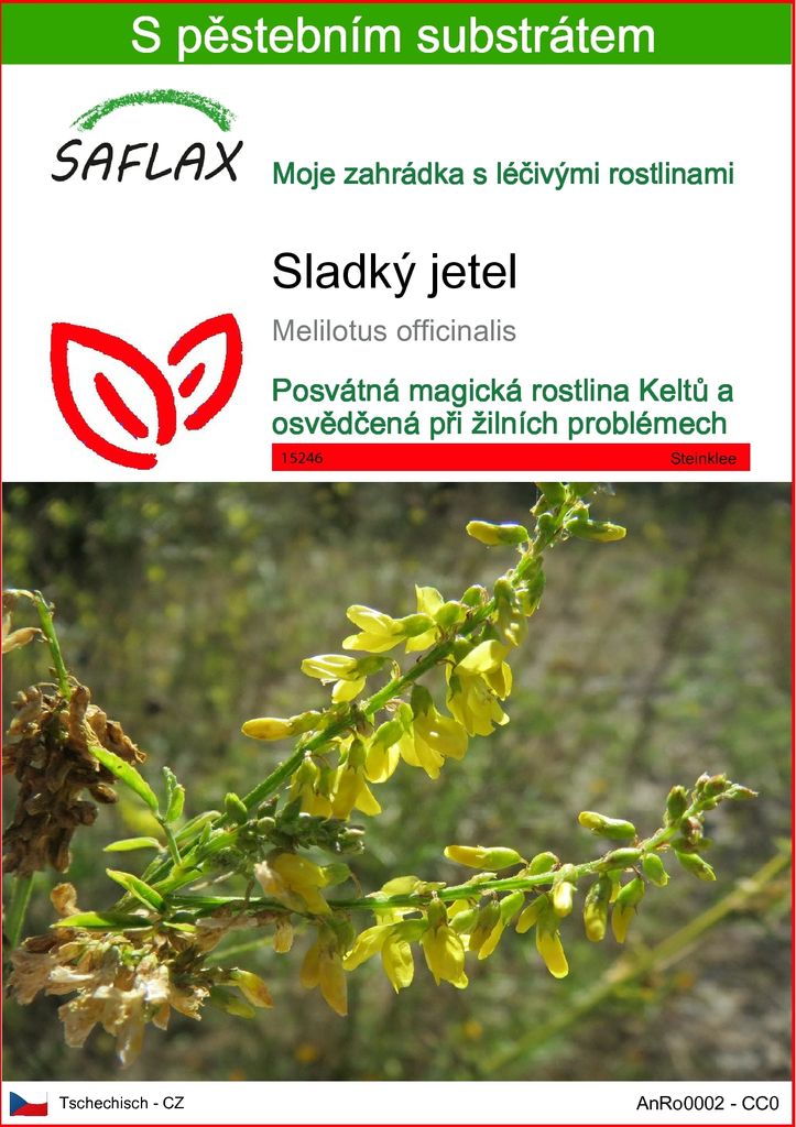 SAFLAX - sladký jetel - Melilotus officinalis - 250 Semena Obrázek produktu 