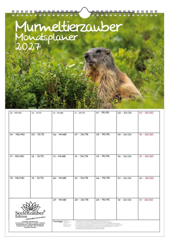 Murmeltierzauber Planer DIN A3 Kalender für 2027 Murmeltier Produktbild 