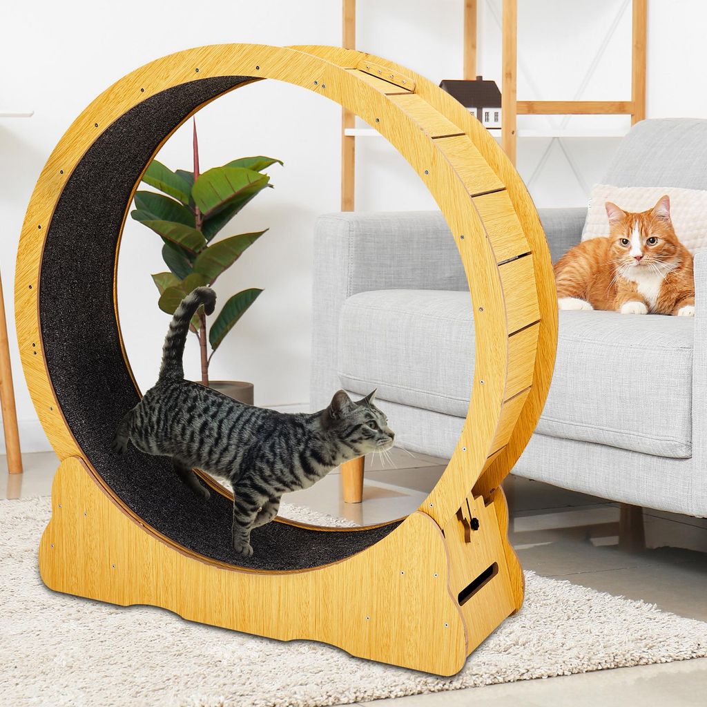 FCH Katzenlaufrad, Laufband für Katzen 100x36.5x106 cm, für Produktbild 