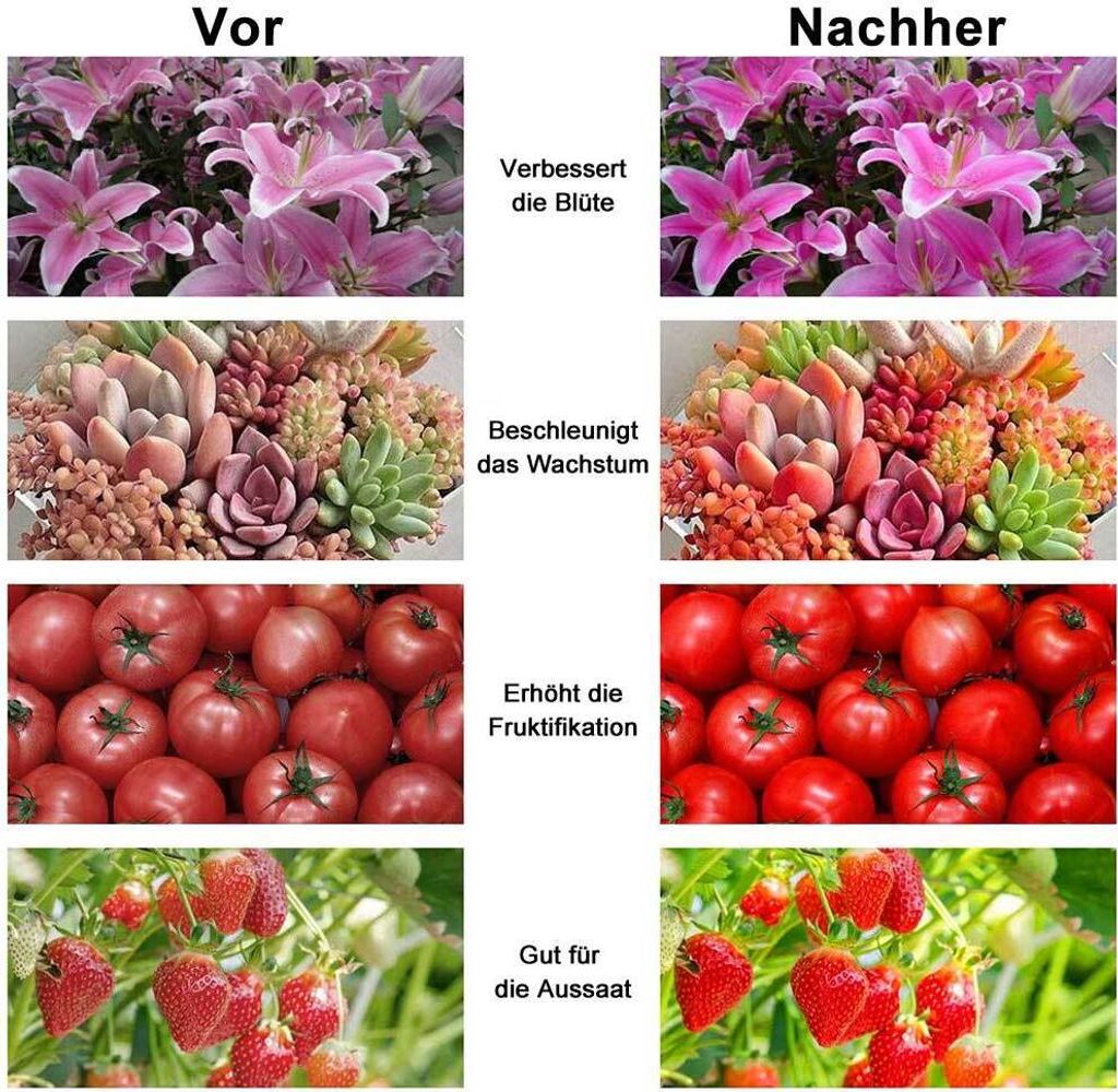 150W 240LEDs E26/E27 Vollspektrum LED Pflanze Grow Lampe Produktbild 6