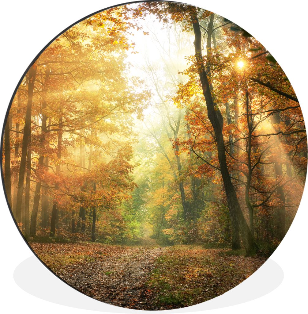 MuchoWow Aluminium Wandkreis Wald - Herbst - Sonne - Landschaft - Natur - Bäume - Laub Ø 90 cm Wanddeko Modern Wohnzimmer - Mauerkreis - Wandbi...