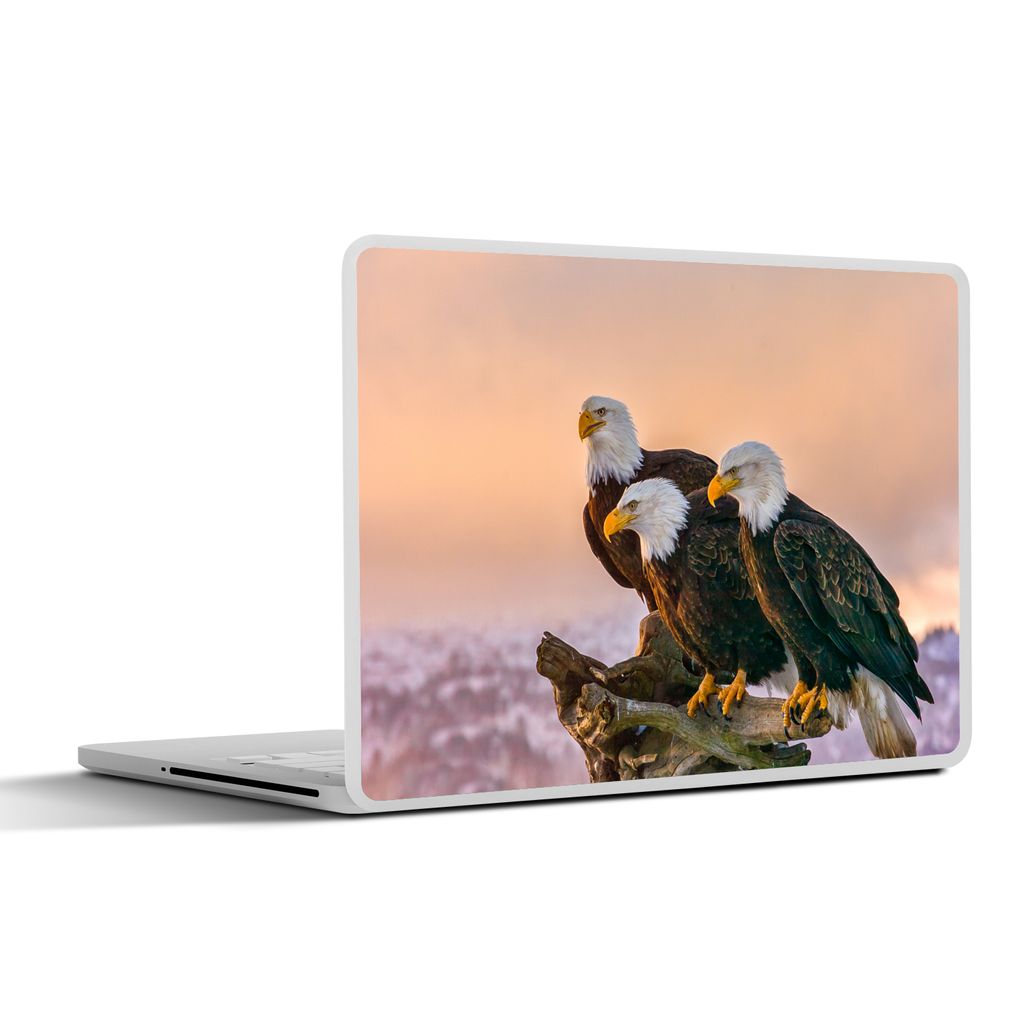 MuchoWow Laptop Aufkleber Sticker Cover Vögel - Natur - Raubvögel - Adler 31x22.5 cm - Laptop-Deko