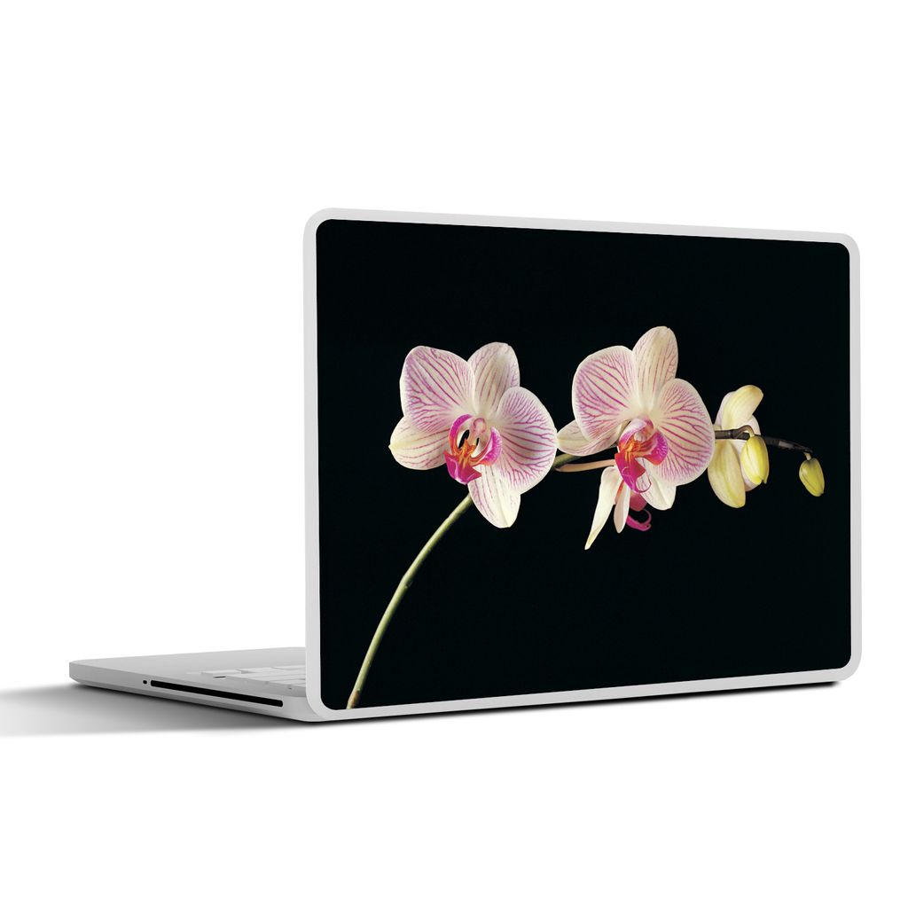 MuchoWow Laptop Aufkleber Sticker Cover Orchidee - Blumen - Schwarz - Rosa - Knöpfe 30x21 cm - Sticker für Laptop - Selbstklebend