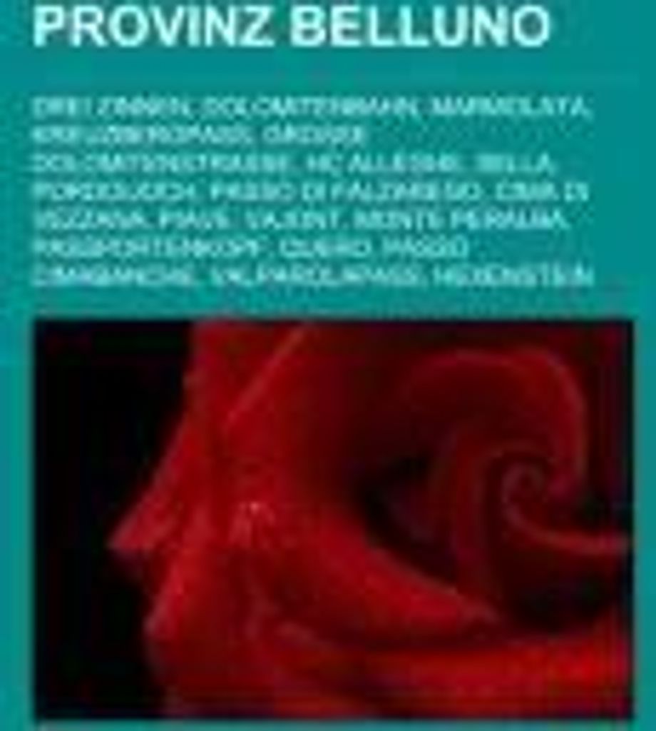 Provinz Belluno
