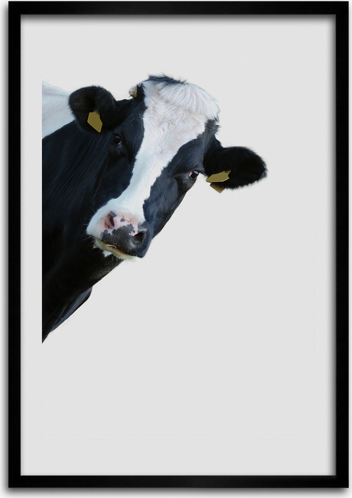 Bild - Bilderrahmen - 50 cm x 70 cm - MDF - Rahmen - Wandkunst Eine gezüchtete Kuh
