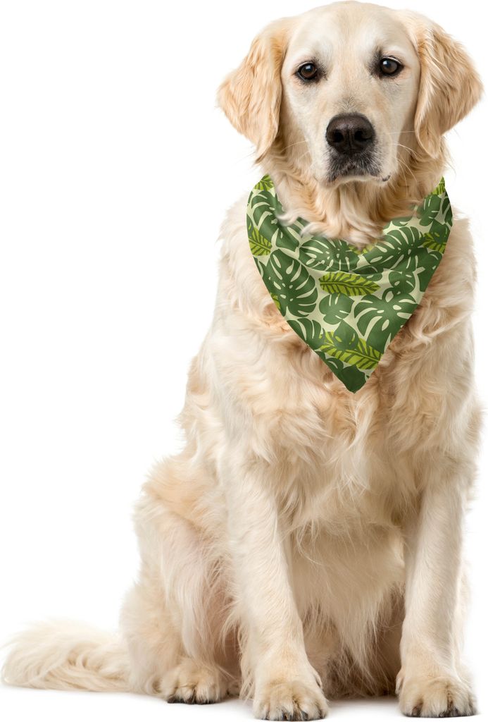 ABAKUHAUS Blätter Haustier Bandana, Exotische Wald Monstera Blatt, 55x55 cm, Pastellgrün Multicolor