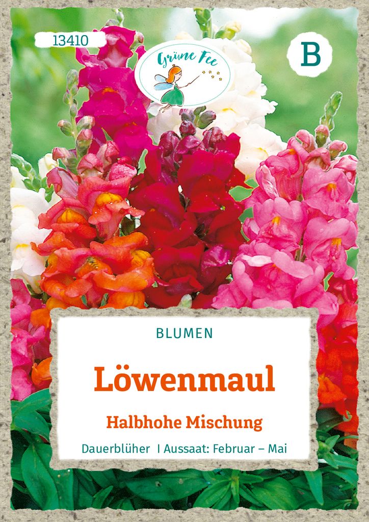Grüne Fee - Löwenmaul Halbhohe Mischung Samen - 13410