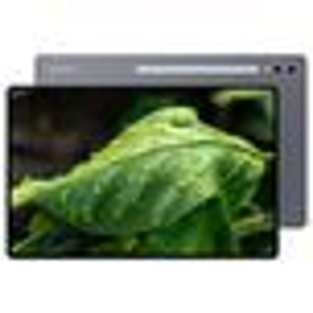 Samsung Galaxy Tab S10 Ultra 14.6" 1TB/16GB Wi-Fi Grau Produktbild 