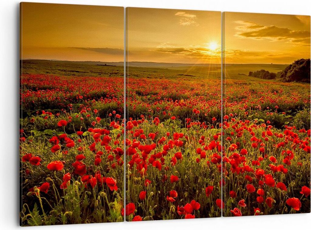 Bild auf Leinwand - Leinwandbild - Mohn Blume Wiese - 105x70cm - Wand Bild - Wanddeko - Wandbilder - Leinwanddruck - Bilder - Kunstdruck - Wanddeko...