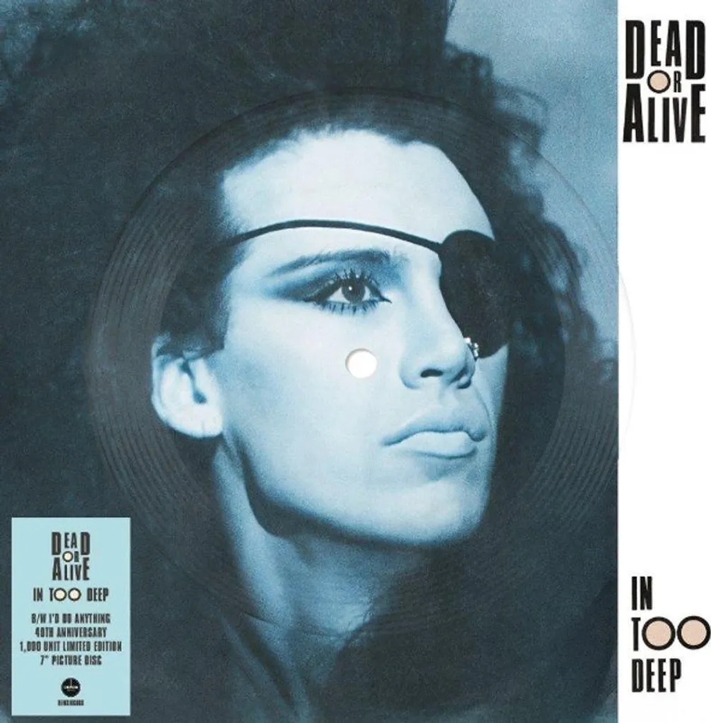 Vinyle Picture Disc Dead Or Alive Édition Limitée In Too Deep Rare 12"