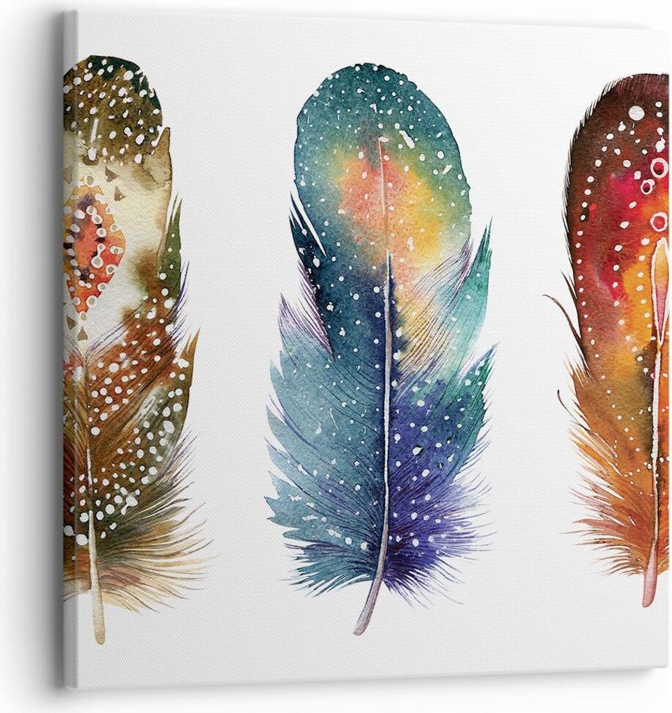 Bild auf Leinwand - Leinwandbild - Einteilig - Feder Vogel Farbe - 30x30cm - Wand Bild - Wanddeko - Wandbilder - Leinwanddruck - Bilder - Wanddekor...