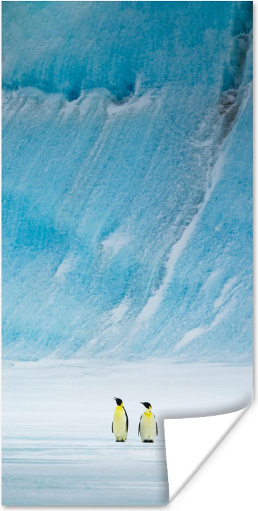 MuchoWow Poster Zwei Kaiserpinguine vor einem Eisberg 75x150 cm - Dekoration für die Wände