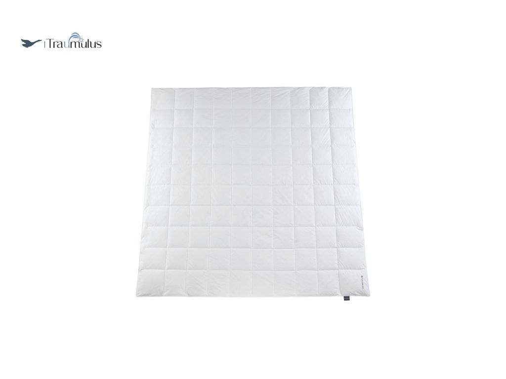 Häussling Traumulus Sommerdecke Daunen DED 10x10 Karo, 200x200 cm, Deutsche Manufaktur, auch für Allergiker geeignet, Bezug 100% Baumwolle