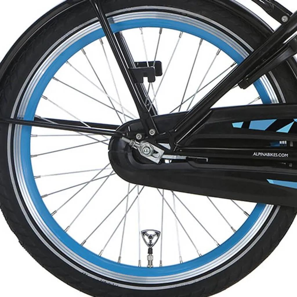 Roue de vélo 22 pouces Alpina Retirer J19SG zinc finition vert de mer