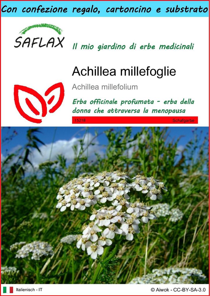 SAFLAX Set regalo - Achillea millefoglie - 200 semi - Immagine del prodotto 