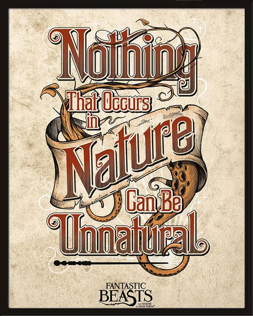 Affiche Les Animaux Fantastiques avec Cadre Amovible Incassable MDF