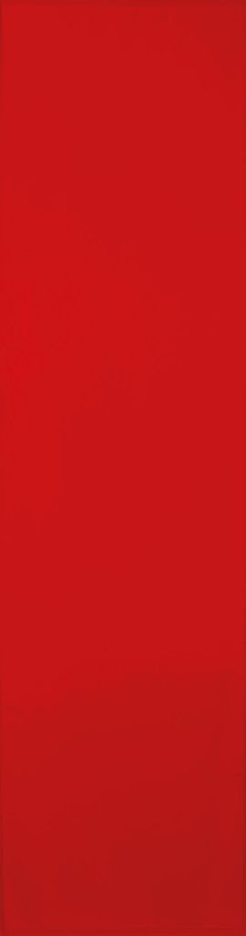 Flächenvorhang Ellen mit Zubehör, Größe: 60x245cm, Farbe: Rot