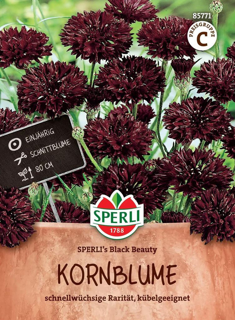 SPERLI Kornblumensamen Black Beauty Centaurea cyanus 25 Produktbild 