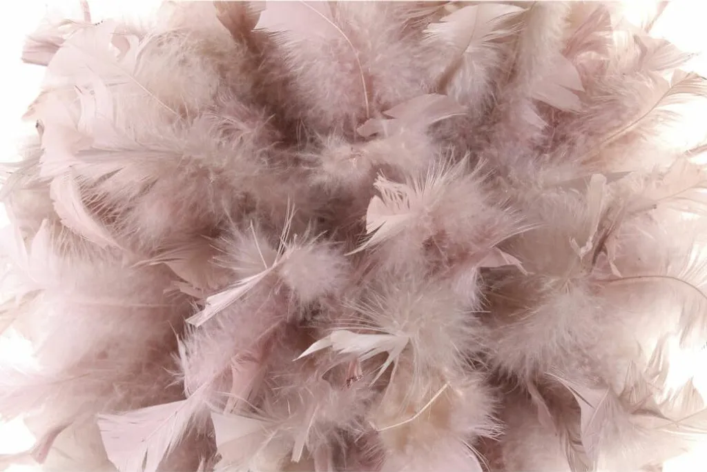 Article Ynma Trends Decobal Mousse de plumes 40x40 cm confort