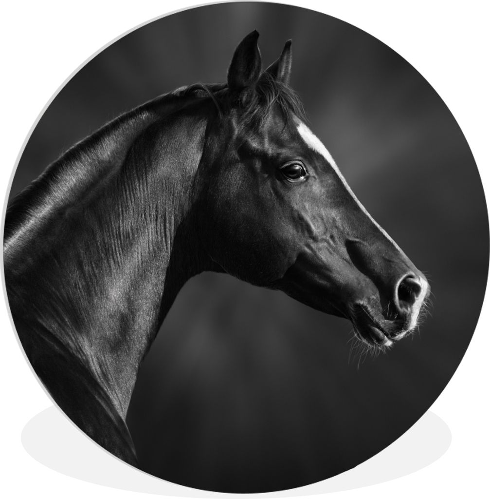 MuchoWow Rundes Wandbild - Runde Bilder Pferd - Tiere - Schwarz - Weiß - Porträt Ø 60 cm Kreis Wanddekoration Kunststoff - Wandkreis - Wandsch...