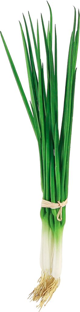 Künstliche Frühlingszwiebeln Dekoration 4er Set Real-Touch 30cm, 4 Stück