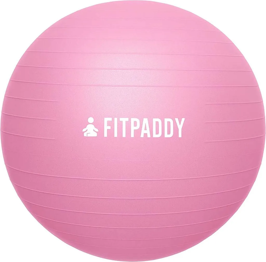 Swiss Ball Rose 65cm - Ballon de stabilité anti-éclatement pour Pilates