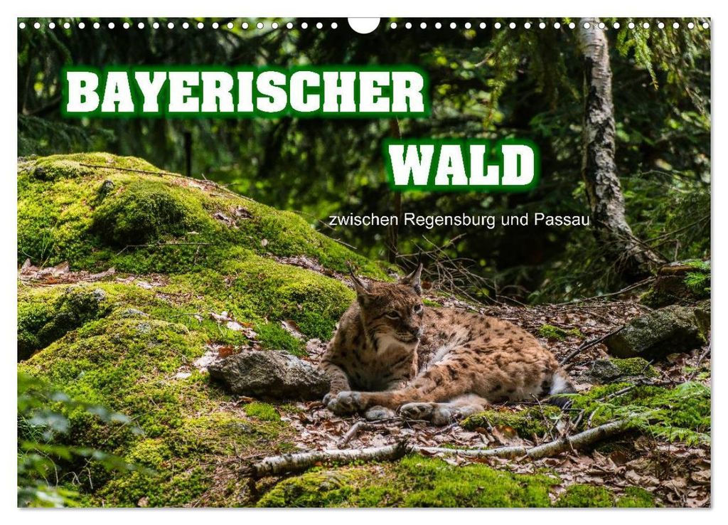 Bayerischer Wald (Wandkalender 2027 DIN A3 quer), CALVENDO Produktbild 