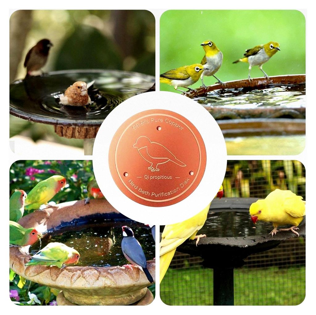 Vogelbad Reinigungsscheibe, 10 cm, aus reinem Kupfer, mit Dreifach-Punkt-Unterstützung, Schüsselreiniger, Zubehör für Outdoor-Wasserbrunnen, Ga...