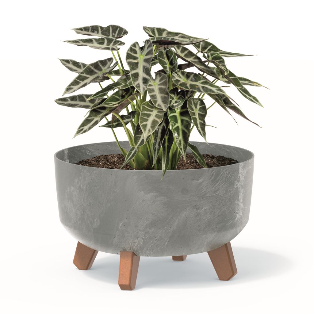 Bonsai Schale Baum Mini Garten Blumentopf an den Füßen Pflanzkübel D 28,5 cm hell Grau Kunststoff Töpfe mit Einsatz Beton Optik Übertöpfe