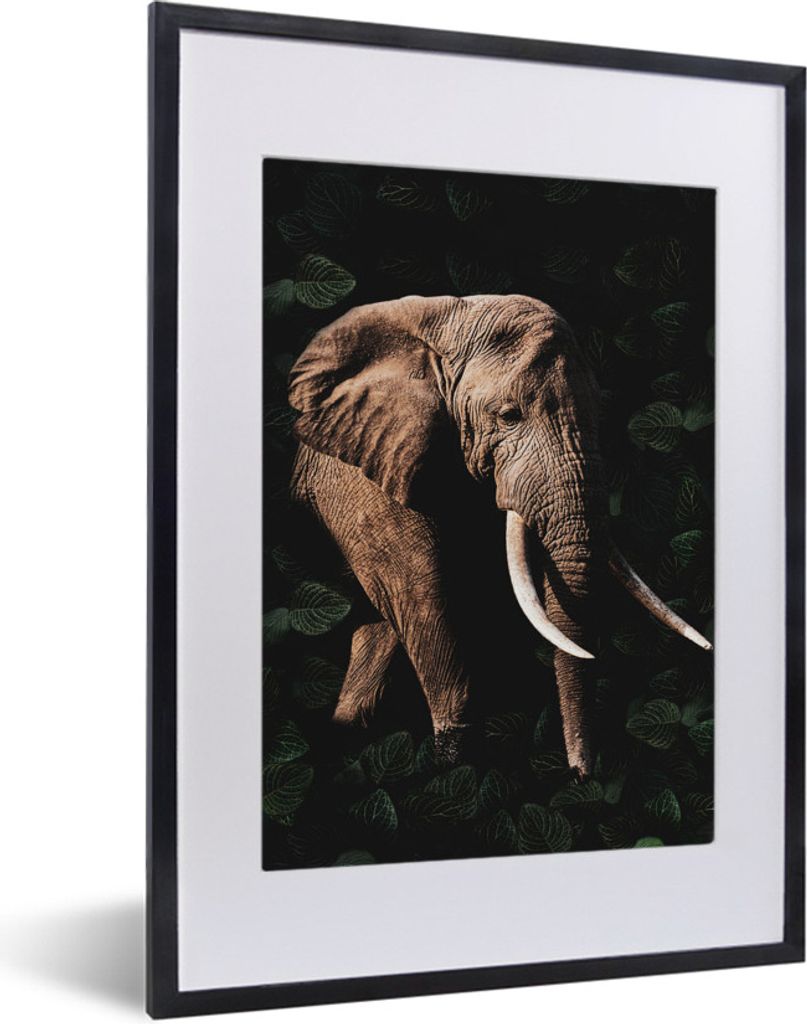 MuchoWow® MuchoWow® Gerahmtes Poster Elefant - Dschungel - Produktbild 