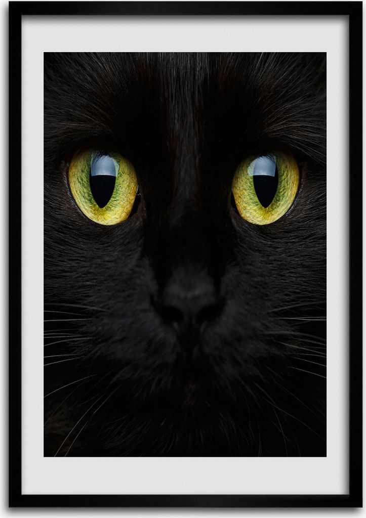 Bild - Bilderrahmen - 50 cm x 70 cm - MDF - Rahmen - Wandkunst Katzenaugen