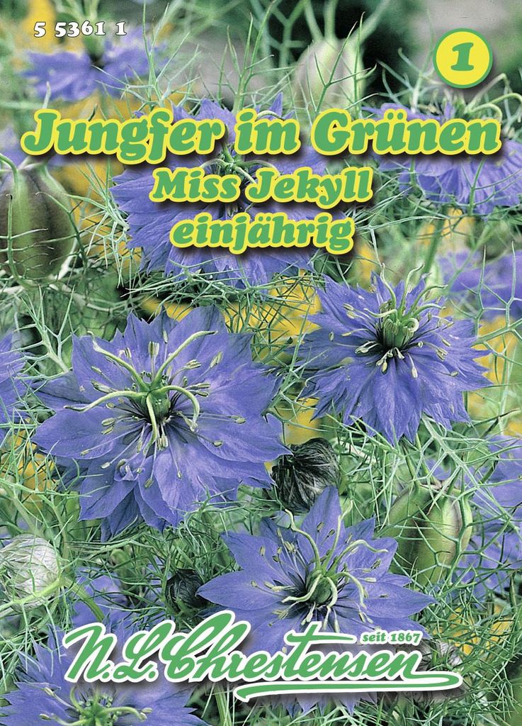 Jungfer im Grünen Miss Jekyll | Jungfer im Grünen Samen von Produktbild 