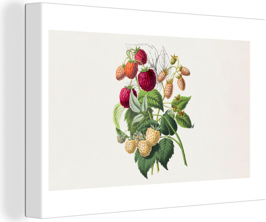 OneMillionCanvasses - Leinwandbilder - 140x90 cm, Erdbeere - Obst - Vintage, Wandbilder Kunstdruck Wanddekoration - Foto auf Leinwand - Gemälde ...