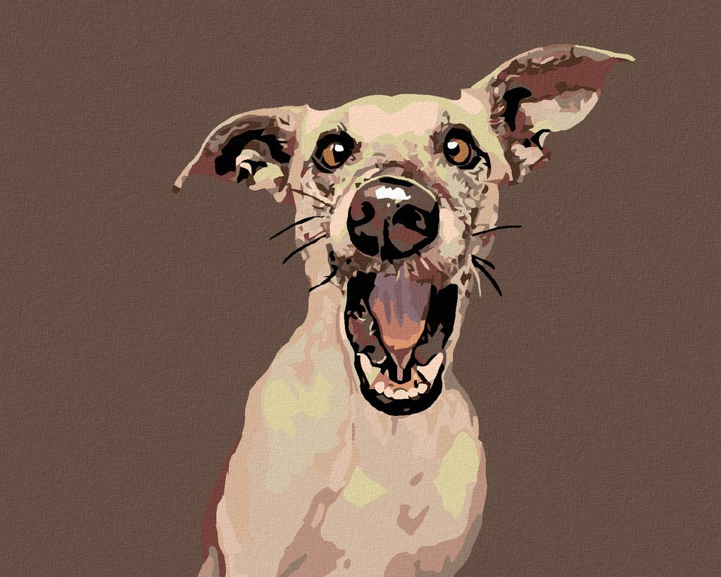 Diamondi - Diamond painting - ÜBERRASCHTER HUND, 40X50 cm, ohne Keilrahmen