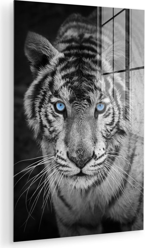 MuchoWow Glasbilder - Bilder auf Wandbild - Foto auf Glas Tiger - Tier - Schwarz - Blau - Modern 40x60 cm Wanddekoration aus Glas - Acrylglasbild -...