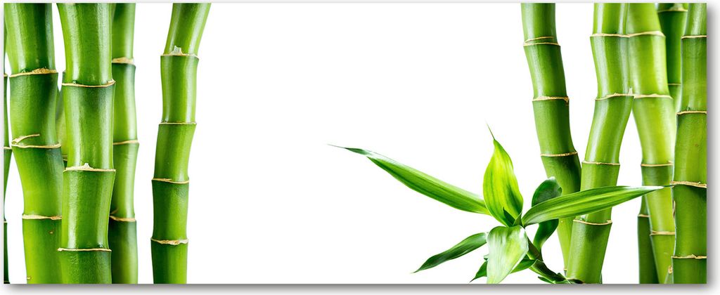 Tulup Glas-Bild Wandbild aus Glas - 125x50 - Wandkunst - Wandbild hinter gehärtetem Sicherheitsglas - Dekorative Wand für Küche & Wohnzimmer ...