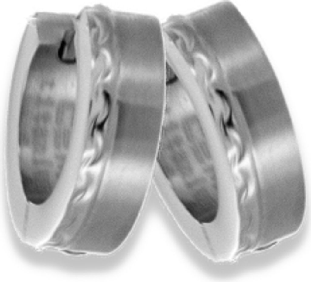 CEM Titan Ohrschmuck CT5-222