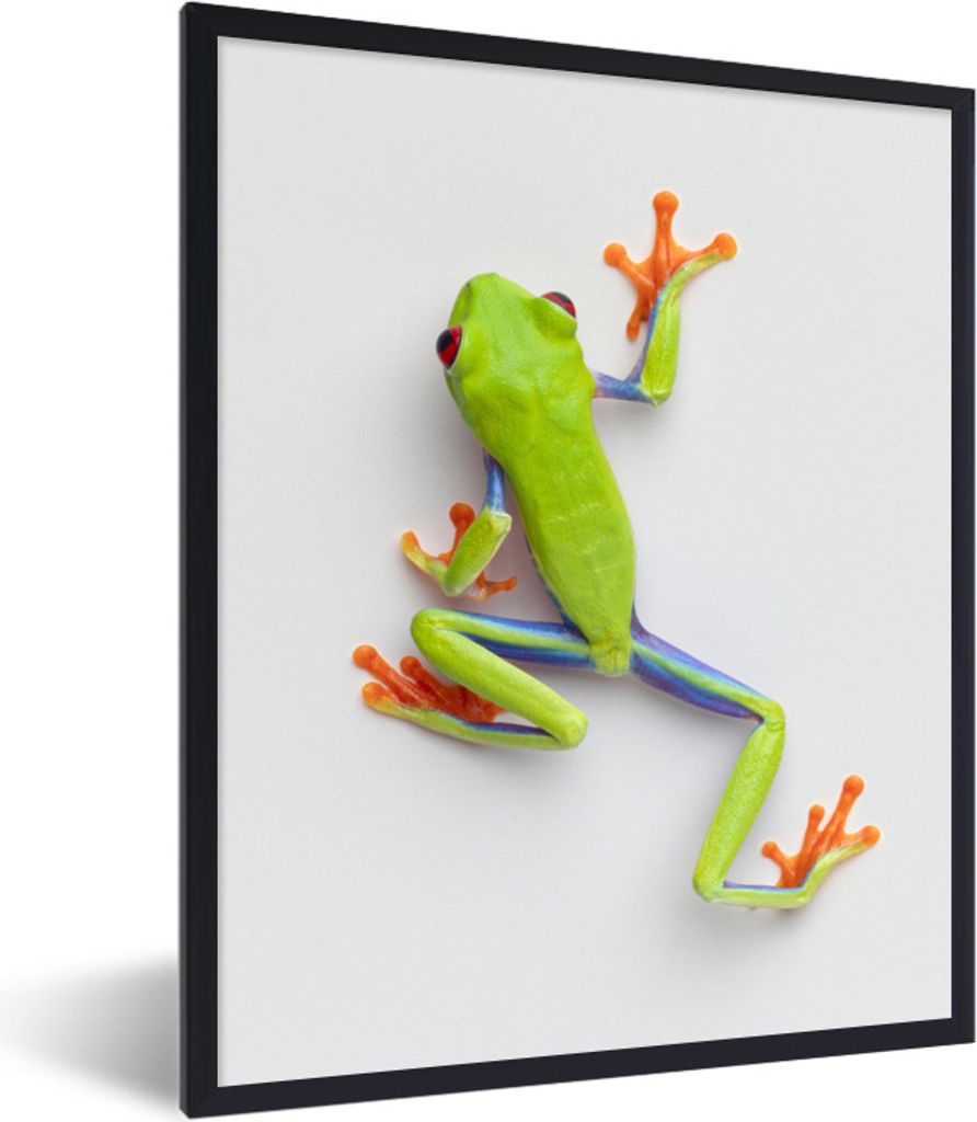 MuchoWow Gerahmtes Poster Frosch - Tiere - Grün 60x80 cm - Poster mit Schwarzem Bilderrahmen Wandposter Rahmen Foto Bilder - Premium - Wanddeko ...