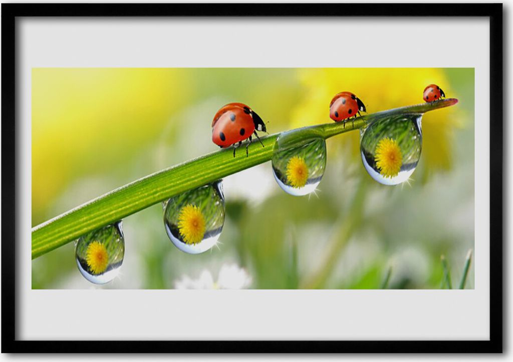 Bild 70x50 MDF-Rahmen Wandkunst Blatt Marienkäfer Natur