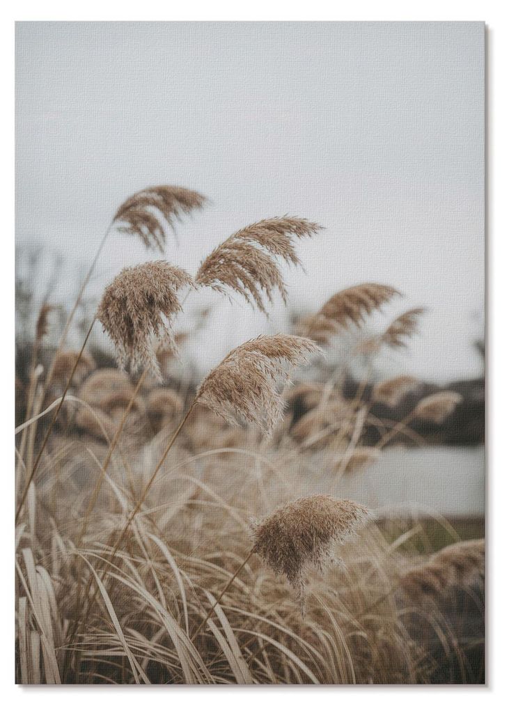 POSTER - 21x29 cm (A4) - E. - Zarte Grashalme, braungraue Naturatmosphäre - Wandbild für Wohnzimmer Schlafzimmer & Flur, Modernes Poster Wanddeko...