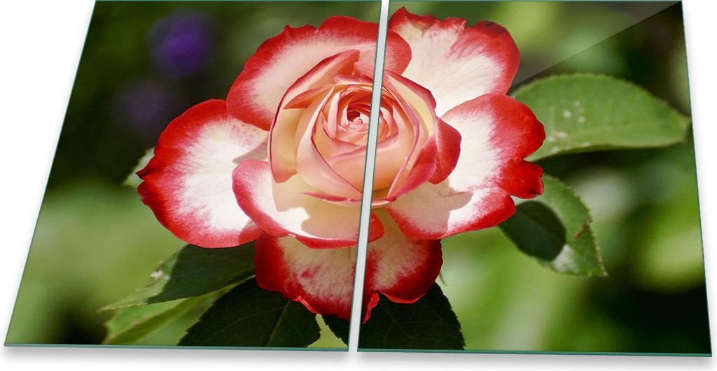 Herdabdeckplatte Glaskeramik 2-Teilig 2x40x52 Blumen Bunt Abdeckung Spritzschutz Glas