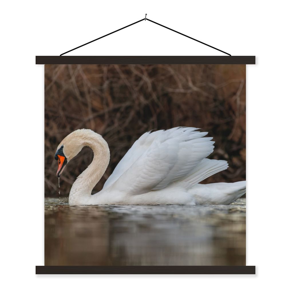 MuchoWow Textilposter Schwan - Wasser - Tiere - Vogel 40x40 cm mit schwarzem Rahmen - Fotos
