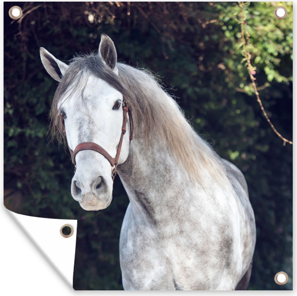 MuchoWow 100x100 cm Outdoor-Poster Gartendeko Sichtschutz Garten Poster für den Garten Pferd - Halfter - Natur
