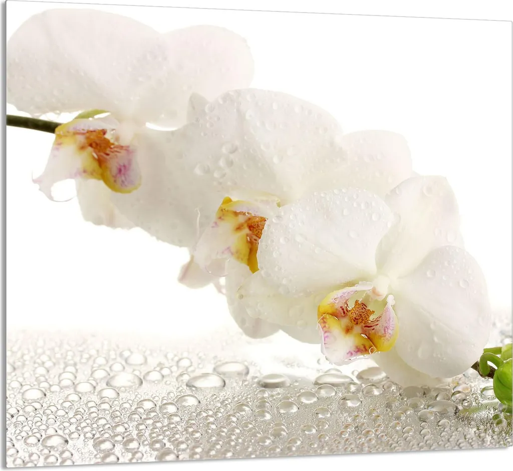 Pannello Vetro Temperato 65x60 Orchidea | Protezione Induzione e Gas
