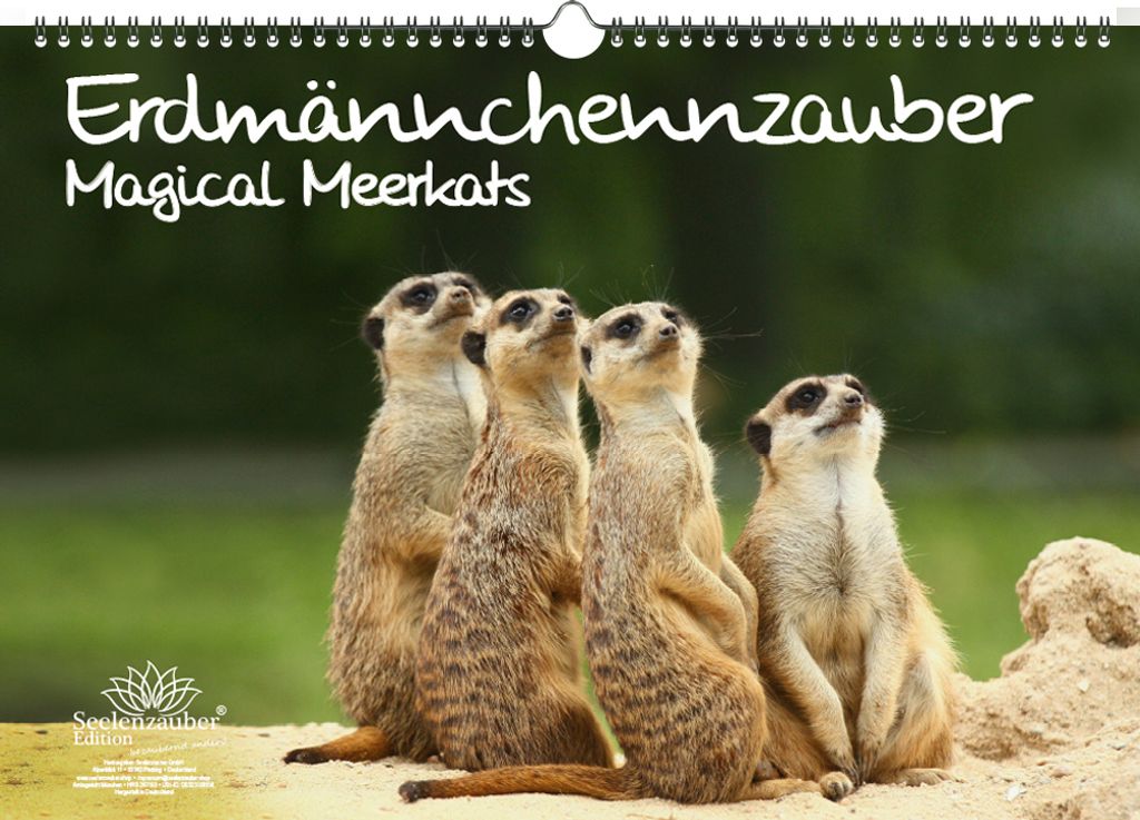 Erdmännchenzauber DIN A3 Kalender - Immerwährender Kalender Erdmännchen - Seelenzauber