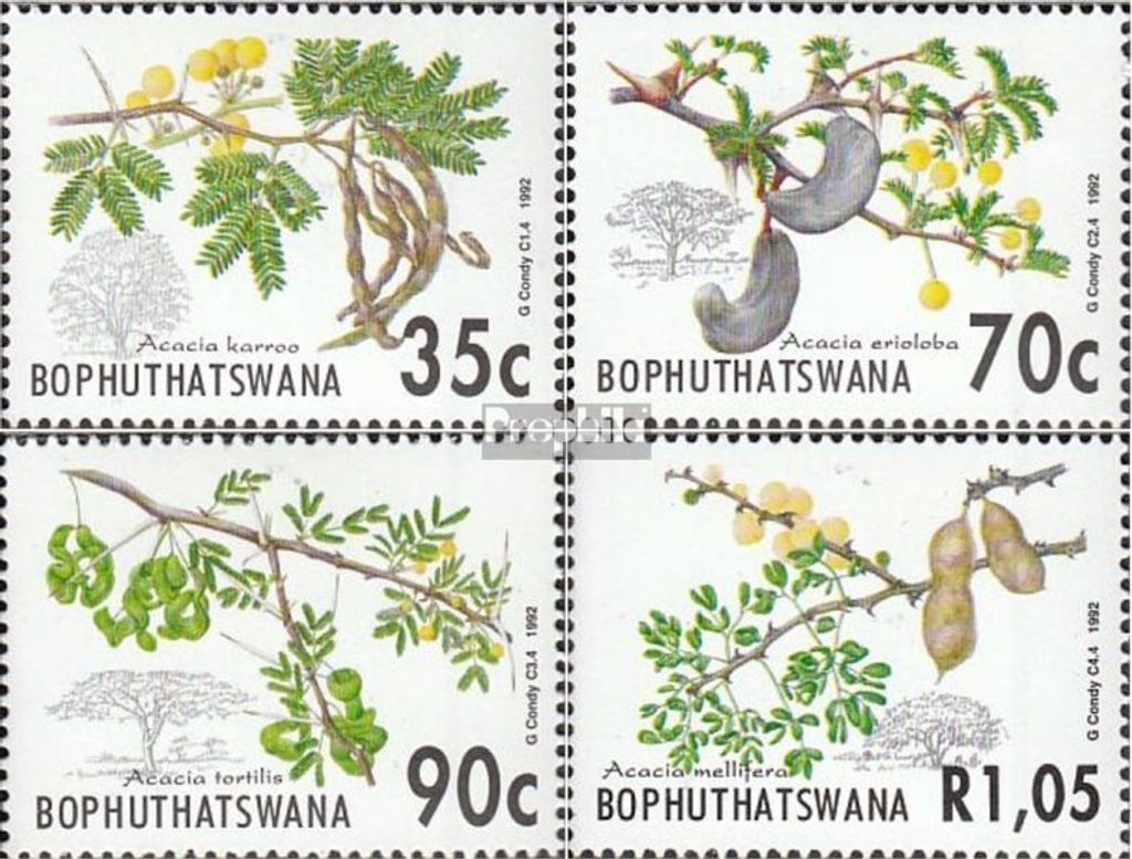 Briefmarken Bophuthatswana 1992 Mi 281-284 (kompl.Ausg.) FDC Akazien